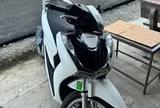 Cần bán SH125 abs 2024 - Hà Nội