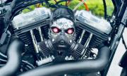Cần bán Harley SporterS 2022 - Hà Nội