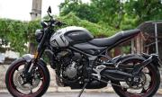Cần bán TRIUMPH TRIDENT 660 - Hà Nội