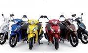 Thuê Xe Máy Đồng Hới Quảng Bình, Honda và Yamaha - Quảng Bình