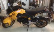 Cần bán honda MSX 125, date 1/2017 - TP Hồ Chí Minh