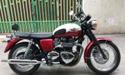 Triumph T-100 đời 2013 - TP Hồ Chí Minh