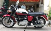 Triumph-T-100 đời 2012 - Hà Nội