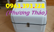 Thùng ship hàng Composite cao cấp, thùng ship hàng sau xe máy - Hà Nội