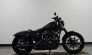 Bán Harley-Davidson Sportster Iron 883 XL883N Data 2019 - 