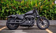 Harley Davidson Iron 883  Xe cũ giá hời nhưng đẳng cấp  YouTube