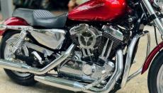Cần bán Harley Davidson Custom 1200XL - TP Hồ Chí Minh