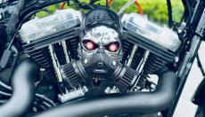 Cần bán Harley SporterS 2022 - Hà Nội