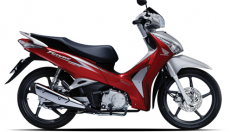 Đồ chơi xe máy và dán keo xe uy tín giá rẻ - TP Hồ Chí Minh