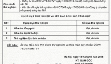 Pin xe đạp, xe máy điện 365 khẳng định thương hiệu Việt - Hà Nội