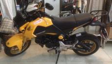 Cần bán honda MSX 125, date 1/2017 - TP Hồ Chí Minh