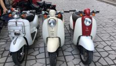 Honda scoopy crea zoomer xe bãi nhật 50cc - Hà Nội