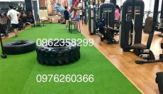 Thảm cỏ nhân tạo giá rẻ Hà Nội - Hà Nội