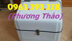 Thùng ship hàng Composite cao cấp, thùng ship hàng sau xe máy - Hà Nội