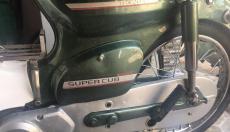 Cup 81 đời mới - TP Hồ Chí Minh