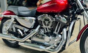 Cần bán Harley Davidson Custom 1200XL