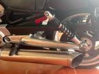 Cần bán Harley Davidson VROD MUSCLE 2009
