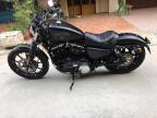 Bán Harley Davidson XL883N Sportster Iron đẹp