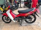 Suzuki xipo 120cc trắng đỏ đẹp mê hồn