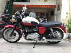 Triumph-T-100 đời 2012