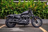 Bán Harley Davidson Iron 883