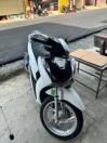 Cần bán SH125 abs 2024