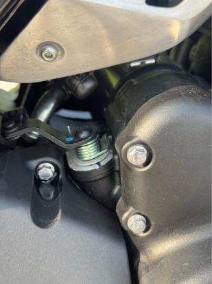 TRIUMPH SPEED 400 – HẢI QUAN CHÍNH NGẠCH, MỚI ĐẾN MỨC CHƯA ĐỔ XĂNG