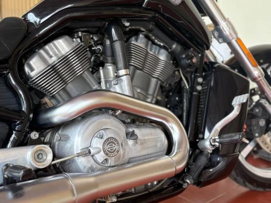Cần bán Harley Davidson VROD MUSCLE 2009