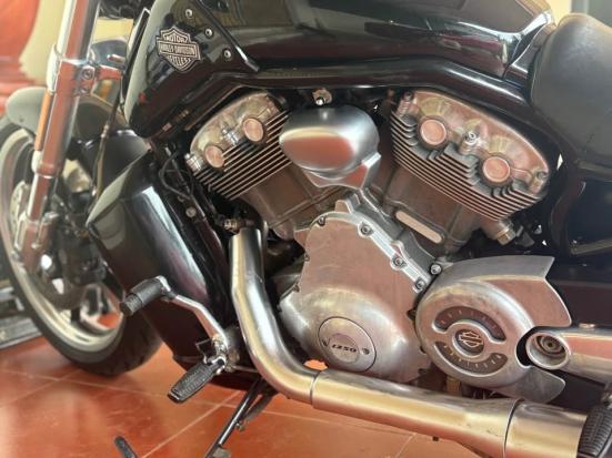 Cần bán Harley Davidson VROD MUSCLE 2009