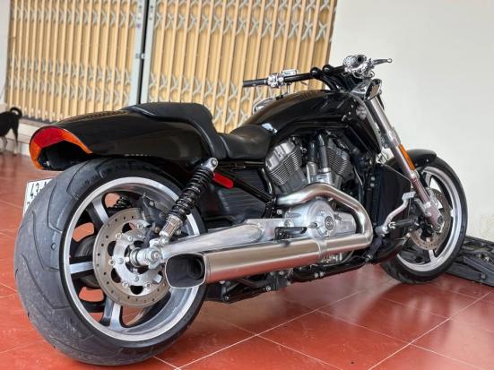 Cần bán Harley Davidson VROD MUSCLE 2009
