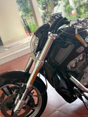 Cần bán Harley Davidson VROD MUSCLE 2009