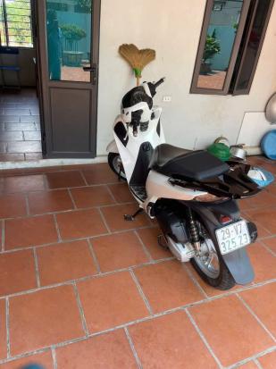 Cần bán xe SH 125-217