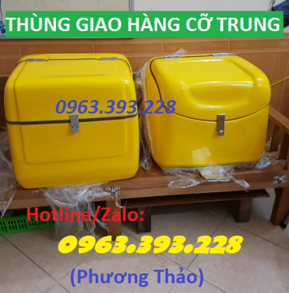 Thùng chở hàng cỡ trung cao cấp các loại