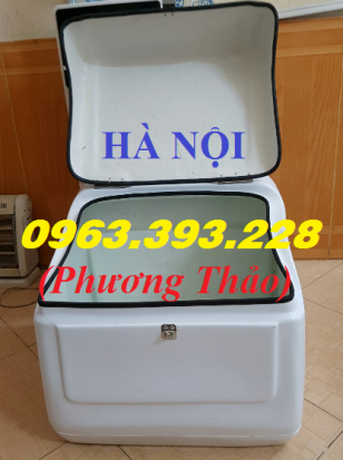 Thùng ship hàng cao cấp, thùng chở hàng sau xe máy