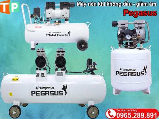 Máy nén khí không dầu Pegasus 3HP - 120L