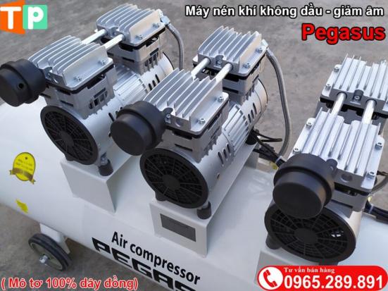 Máy nén khí không dầu Pegasus 3HP - 120L